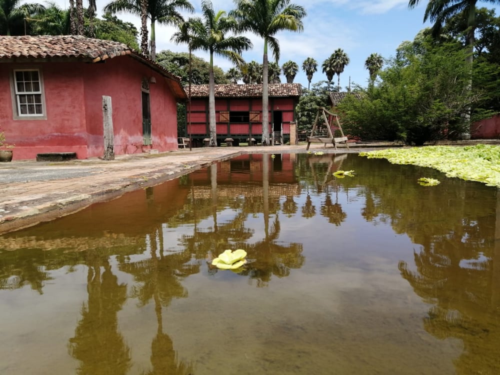 Tour do Café Fazenda das Cabras, com café da manhã