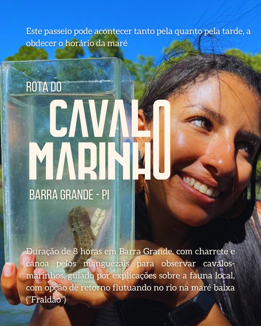 Rota do  Cavalo marinho - Barra Grande PI