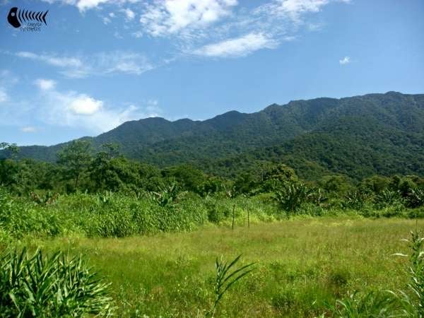 Trilha Cachoeiras do Guaperuvú - Itanhaém/SP