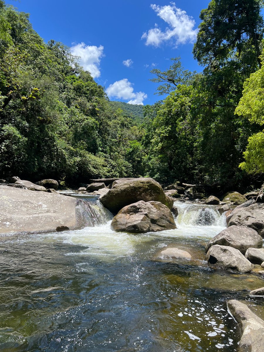 Rio Guacá