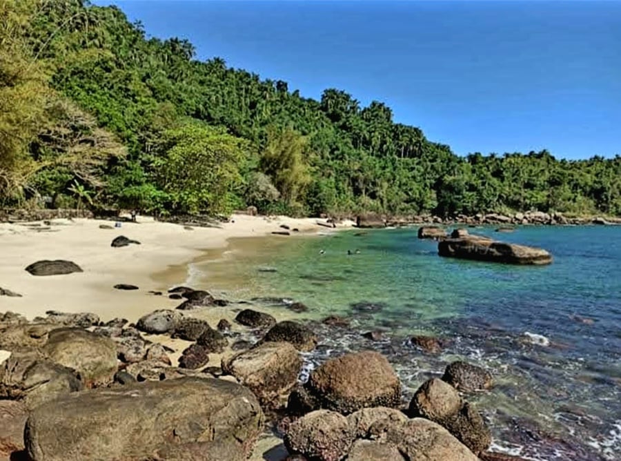 Ilha das Couve e Ilha dos Porcos