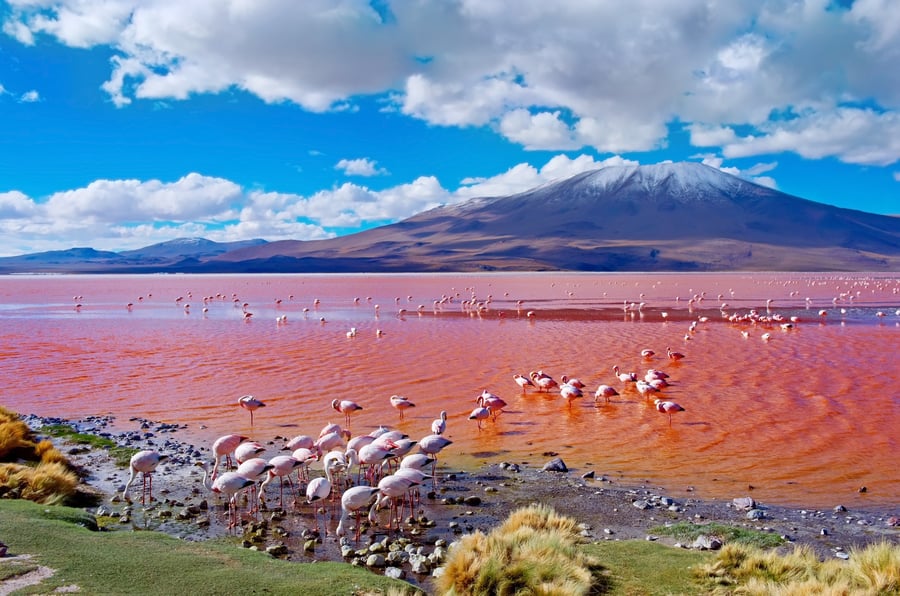 Salar do Uyuni