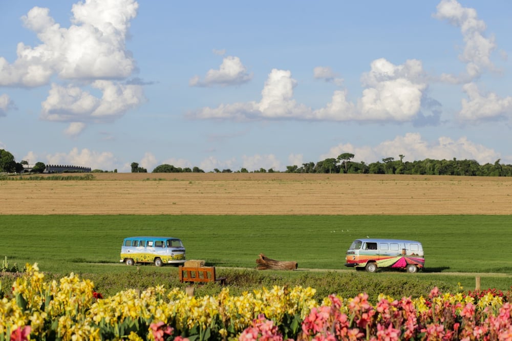 LOCAÇÃO DE CENÁRIO FOTOGRÁFICO EM UMA FAZENDA DE FLORES