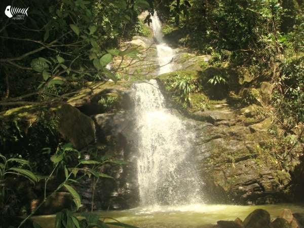 Trilha Cachoeiras do Guaperuvú - Itanhaém/SP