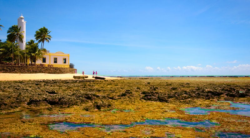 Bate Volta para Mangue Seco