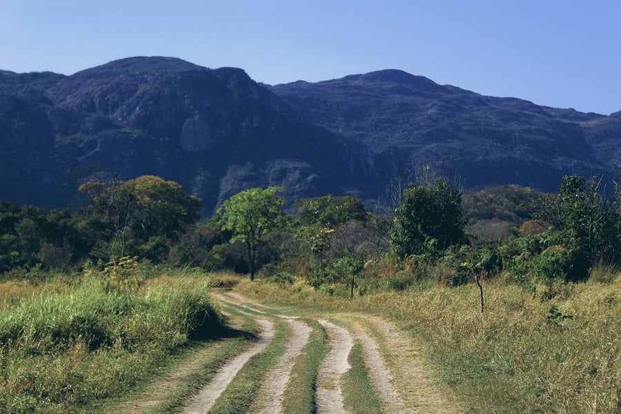 Cada passo, uma nova descoberta