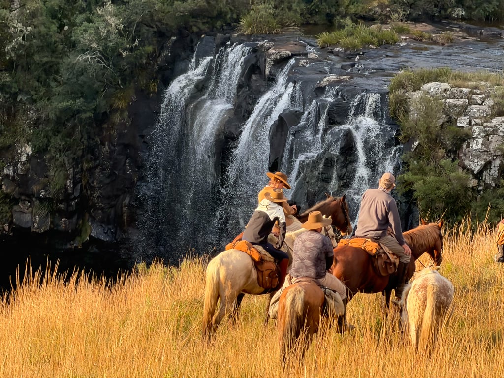 Cavalos livres na Fruta Fina