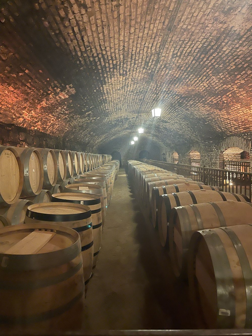 Degustação de vinhos na vinícola Concha y Toro