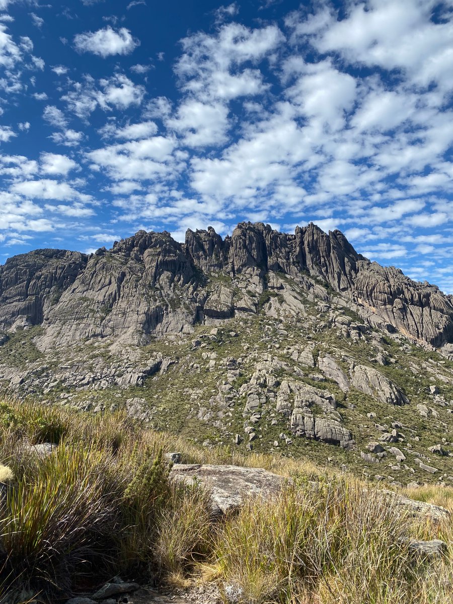 Agulhas Negras de Plano de Fundo.