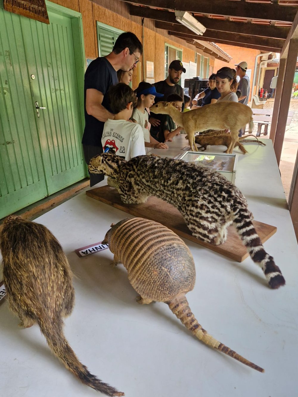 Mata Santa Genebra - animais