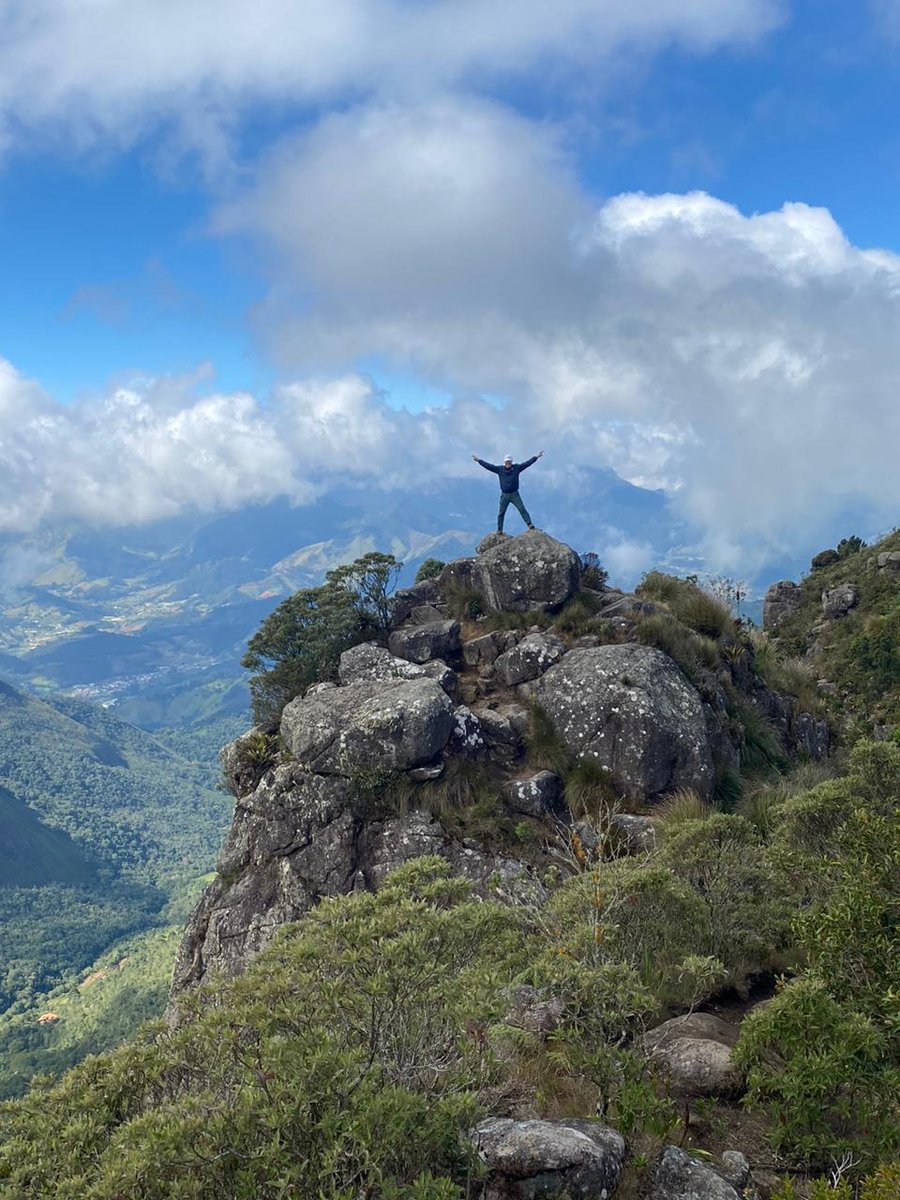 Visual do Cabeça de Dragão