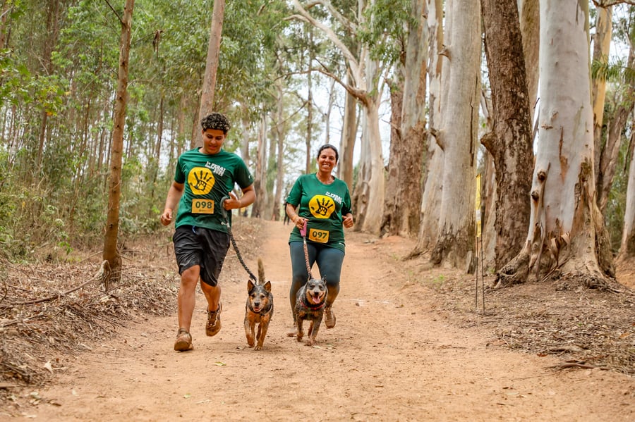 Desafio Feras Pet Friendly