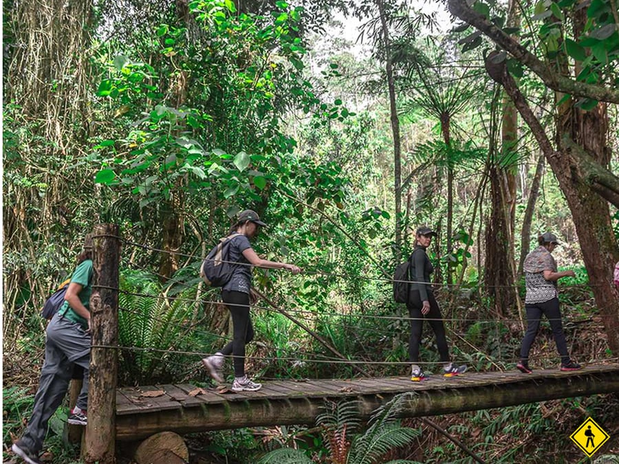 Trilha Na Serra Do Japi AquaTrekking e Almoço Rural 