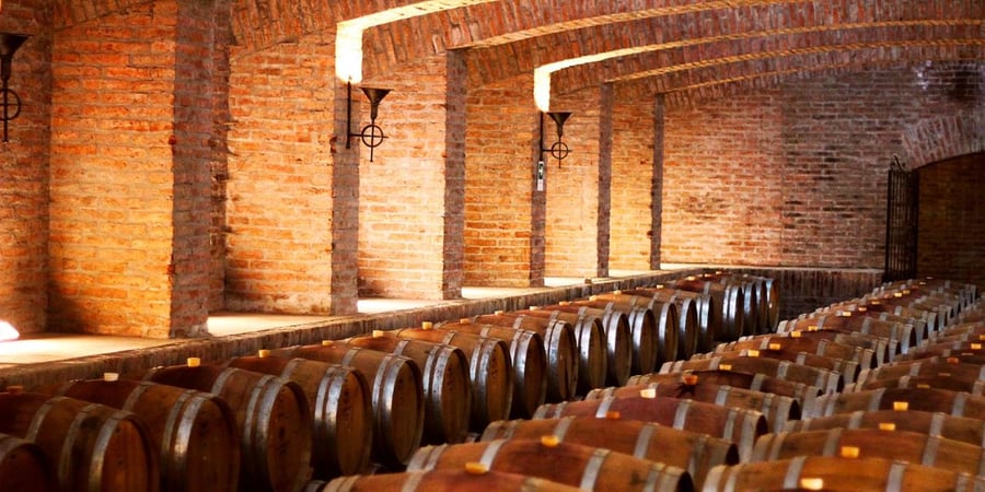 Descubra a Vinícola Undurraga: Tradição e Inovação na Produção de Vinhos no Chile