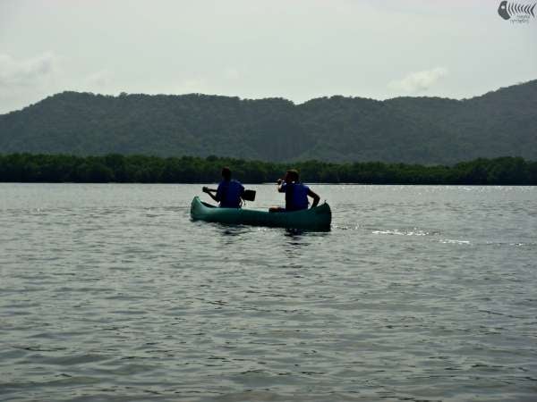 Canoagem Ecológica no Manguezal Praia Grande e São Vicente SP