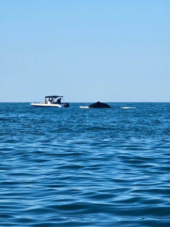 Passeio de barco em Ubatuba