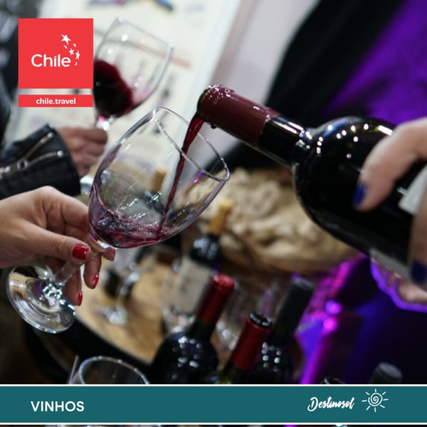 3 Dias Maule Vinhos e Neve
