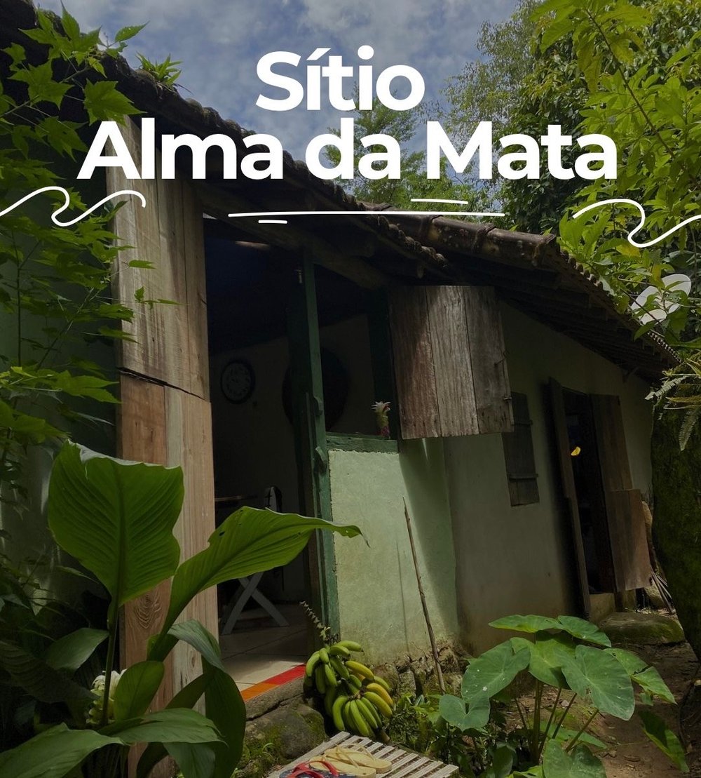 Trilha do Sitio Alma da Mata (Almoço Incluso)