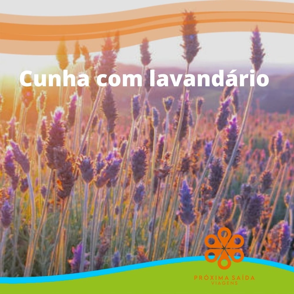 22/05 Cunha com lavandário 