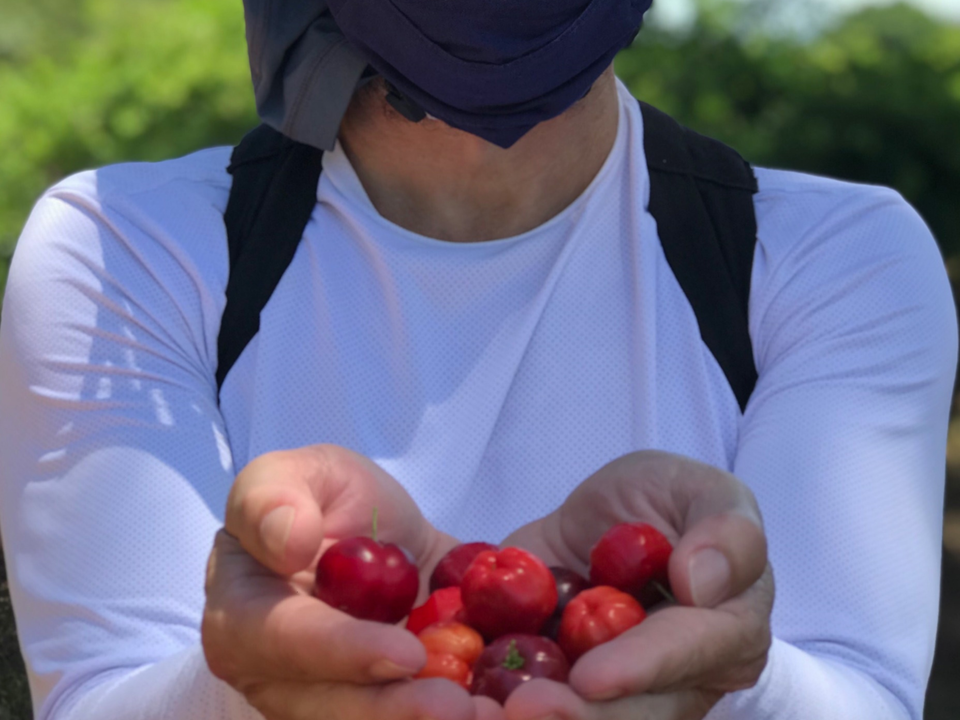 Pedal Circuito Das Frutas 19 a 21/8
