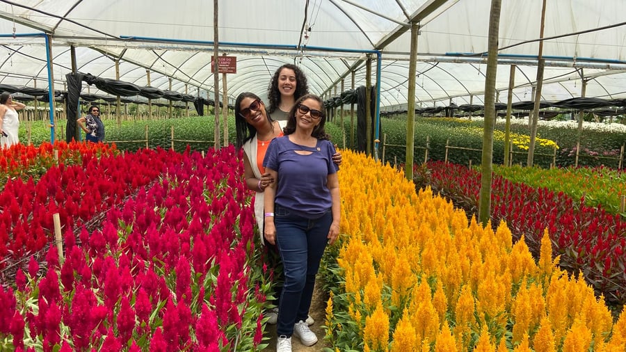 Fazenda de flores Hecket 
