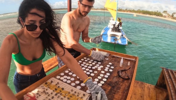 Propósito Recifal: uma experiência única com jangada, flutuação, coral e ciência