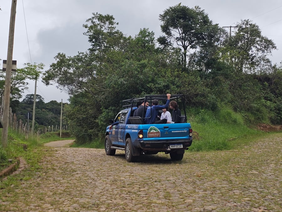 Safari do Macaco Doido em São Bartolomeu
