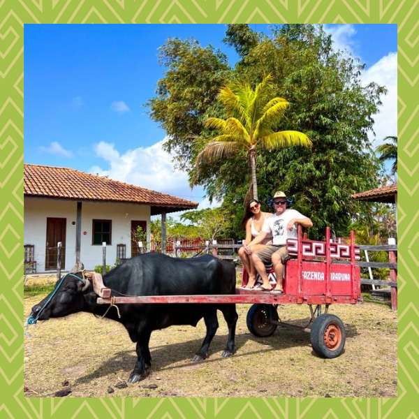 Passeio de carroça marajoara