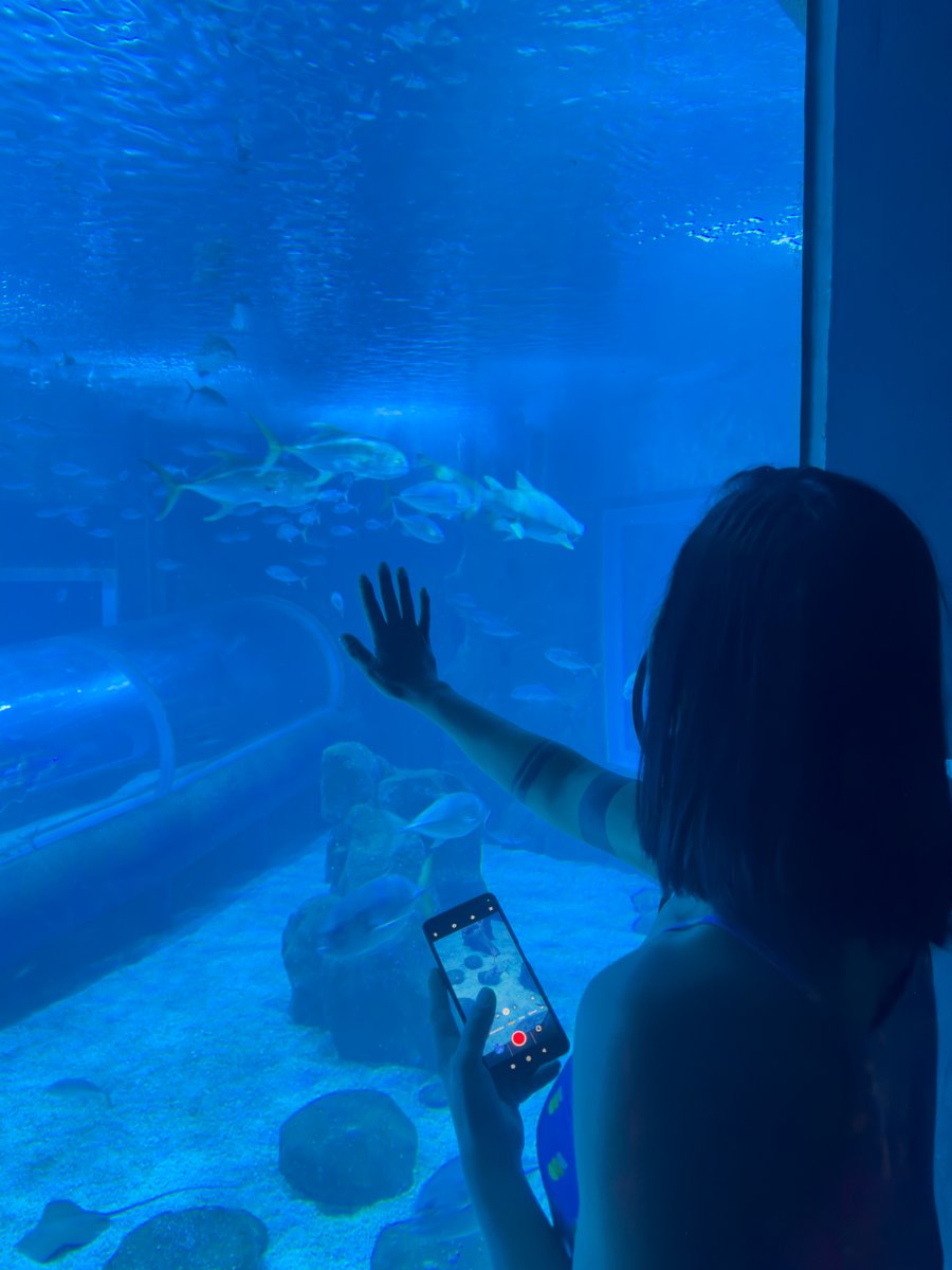 AQUARIO MARINHO 