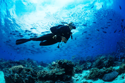 Aventura em Arraial do Cabo: Passeios de Mergulho e Snorkeling