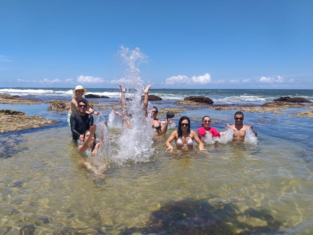 Descubra a Baía dos Golfinhos em Pipa