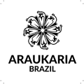 Logotipo ARAUKARIA BRAZIL