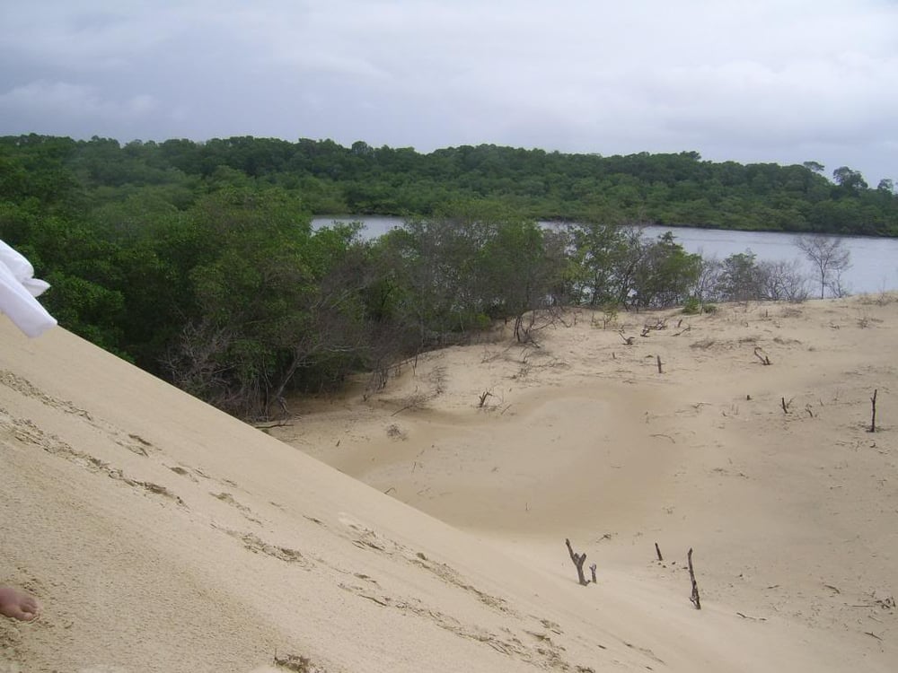 COMBO: SÃO JOSÉ DE RIBAMAR E RAPOSA (FRONHAS MARANHENSES)