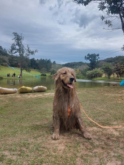 Day Use Aventura Pet com Trilha de Lama - Juquitiba