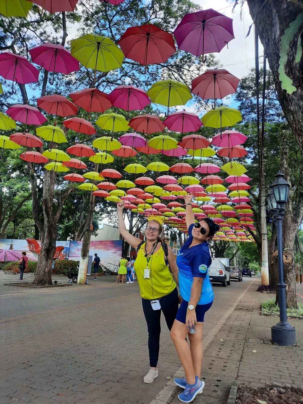 City Tour Holambra com visita a fazenda de flores