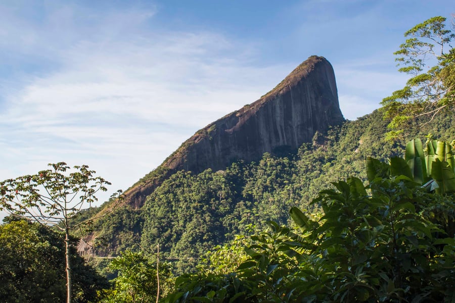 Escalavrado
