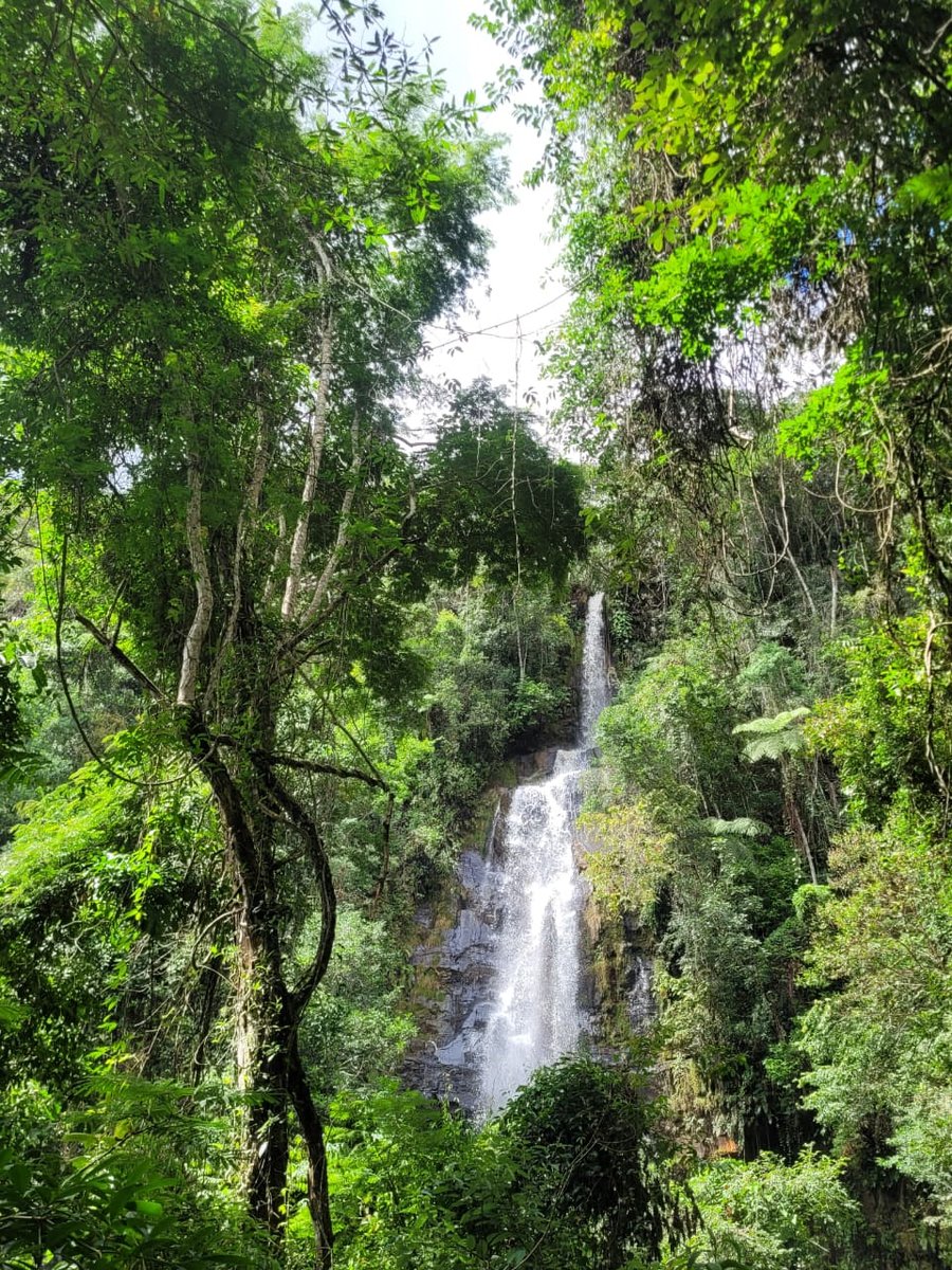 Cachoeira São Bartolomeu