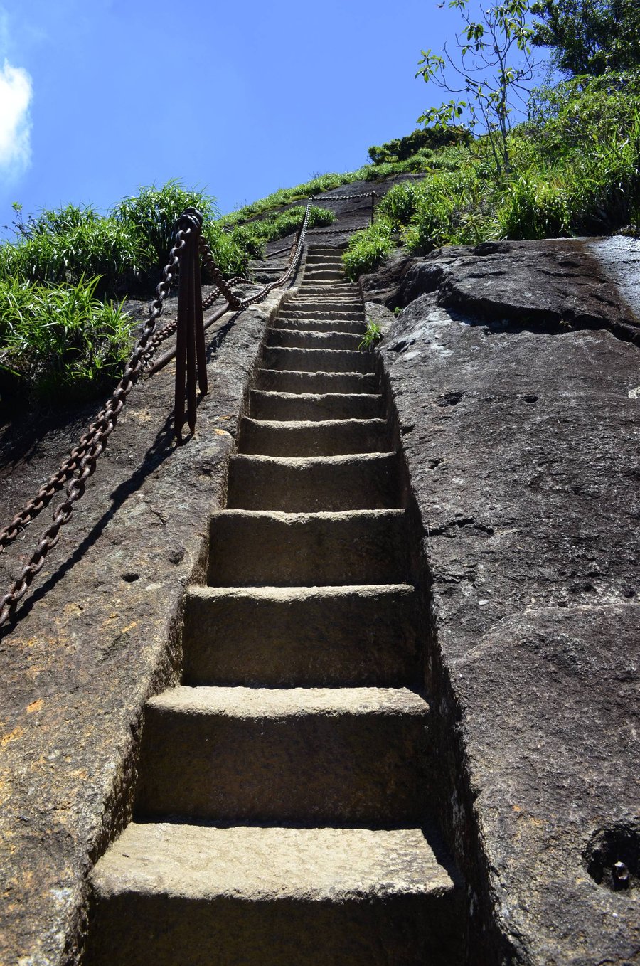 Trilha Pico da Tijuca