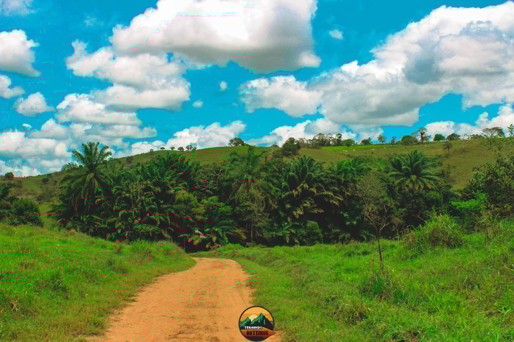 Trilha