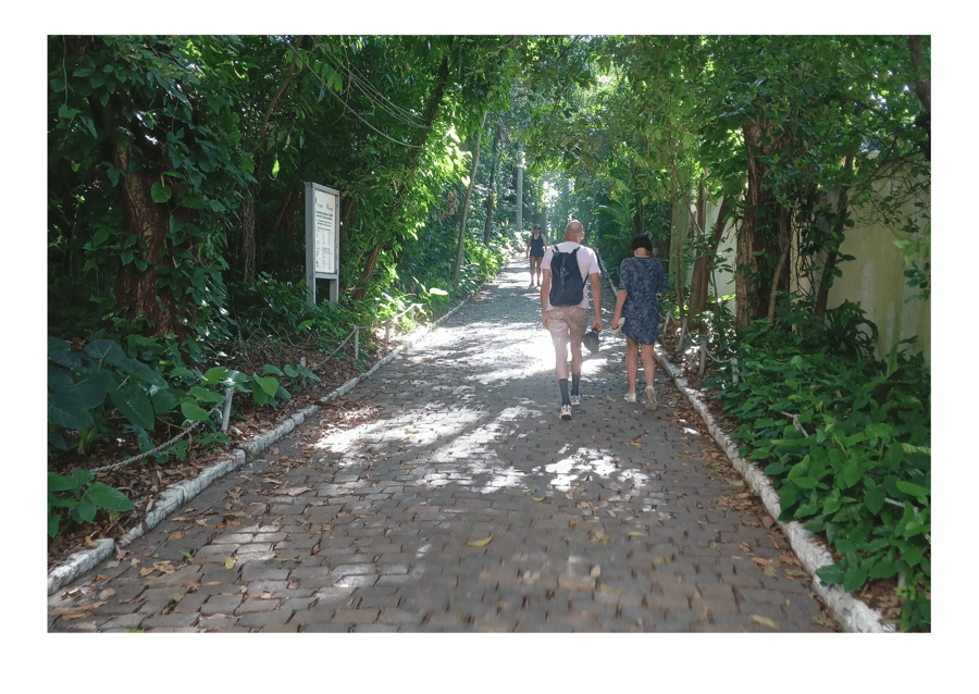 Suba conosco nessa caminhada de 40 minutos pelo Morro da Urca
