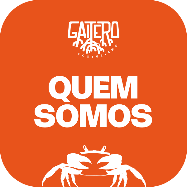 Quem somos