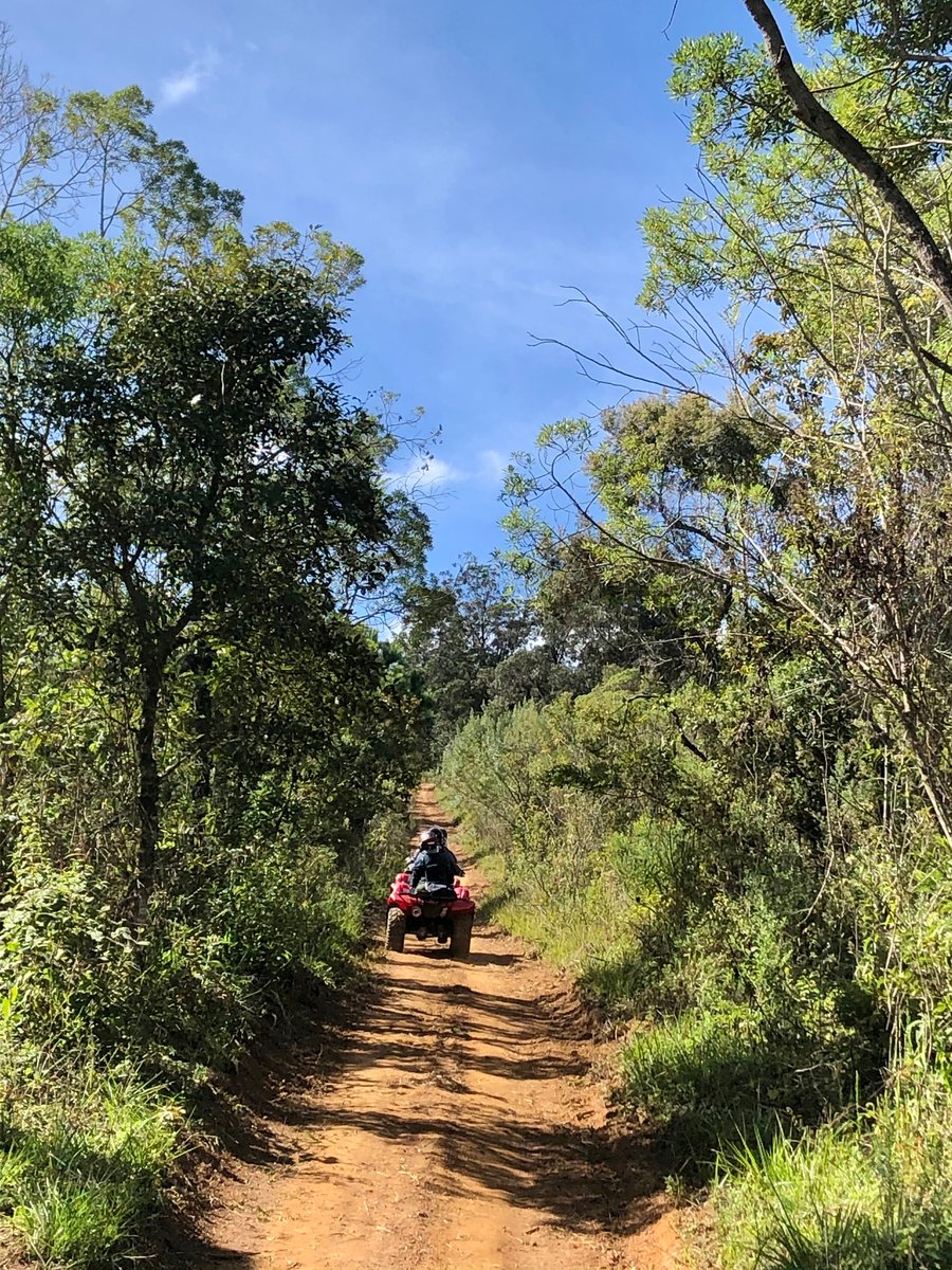 Passeio de Quadriciclo