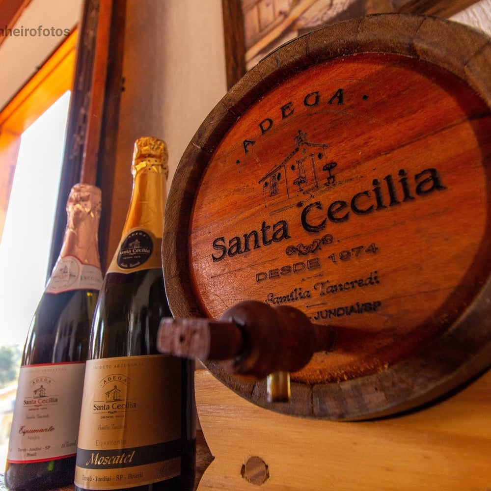 Roteiro do Vinho e Festa da Uva em Jundiái