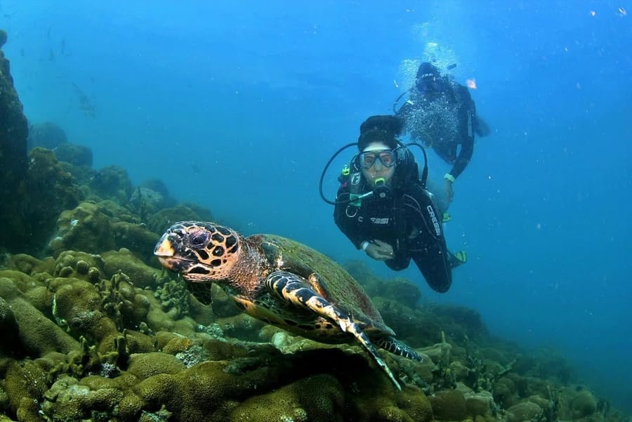 Mergulho com Cilindro em Arraial do Cabo
