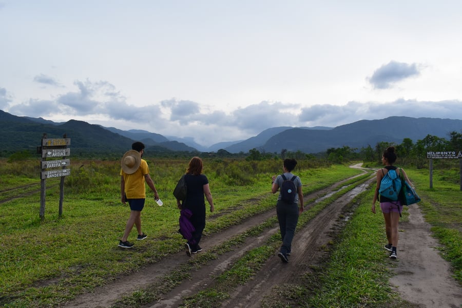Caminhos que revelam a essência do Cerrado