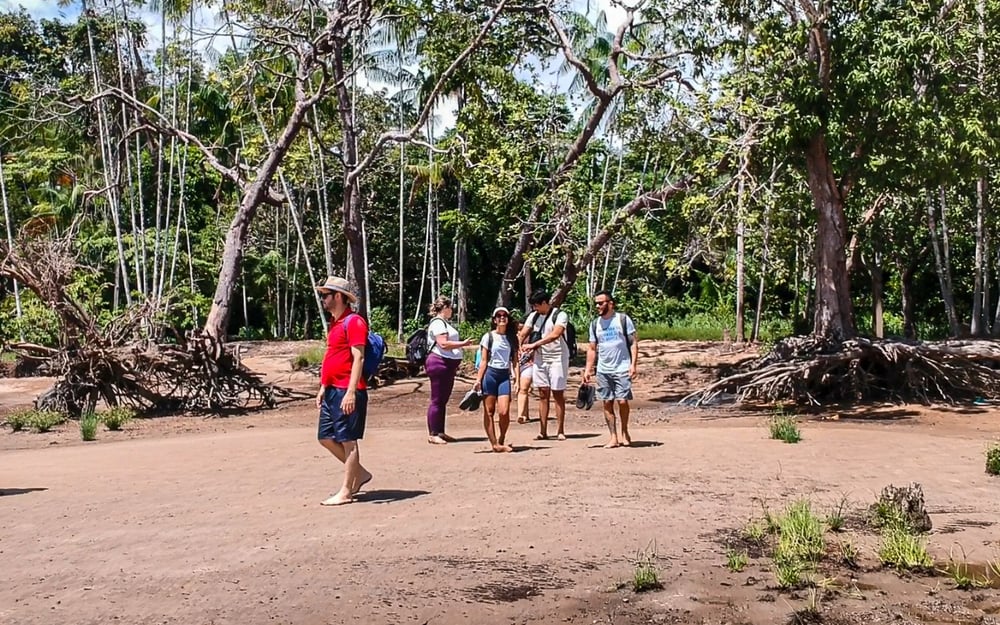 Do Rio à Floresta: Uma Imersão na Natureza 