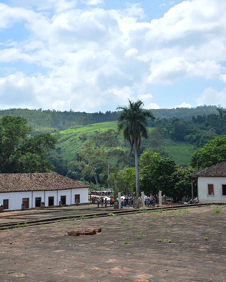 Visita Guiada com Degustação de Queijos e Almoço na Fazenda Atalaia