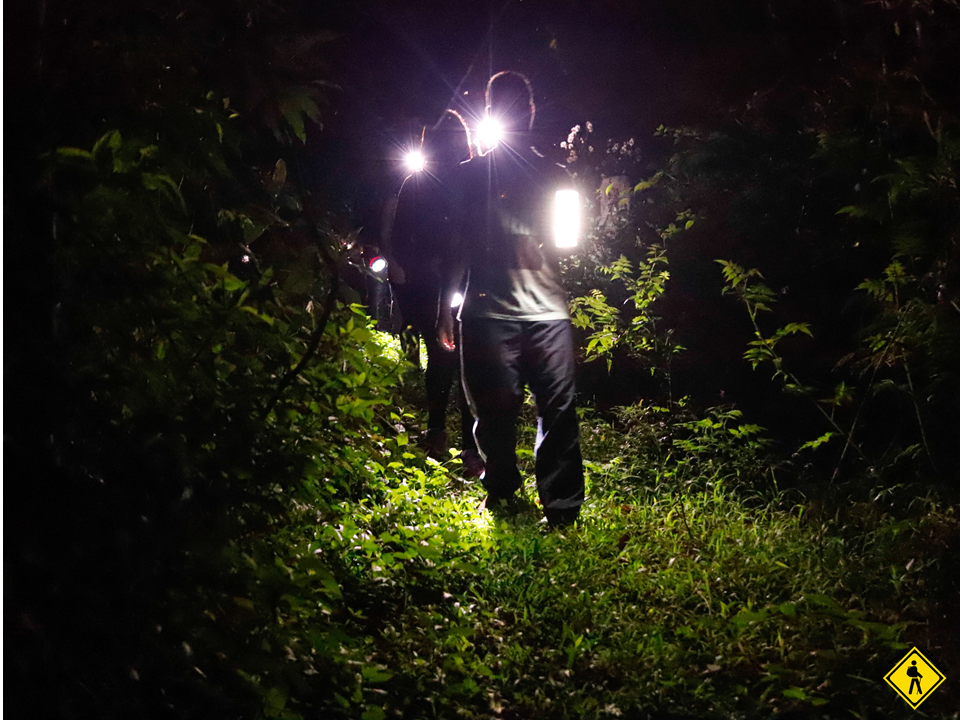 Trilha Da Lua Cheia Na Serra Do Japi - 14/05