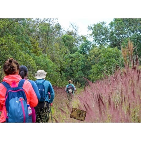 Trekking Serra do Lobo 