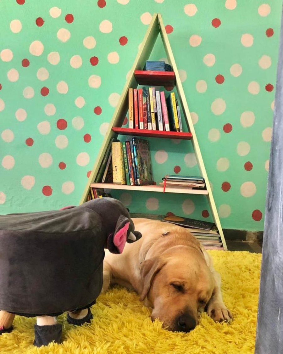 Day Use Hotel Fazenda Monteleone Pet Friendly